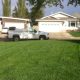 Everything You Need to Know About Lawn Seeding in Calgary