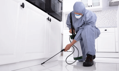 The Peace of Mind You Get from Reliable Pest Control