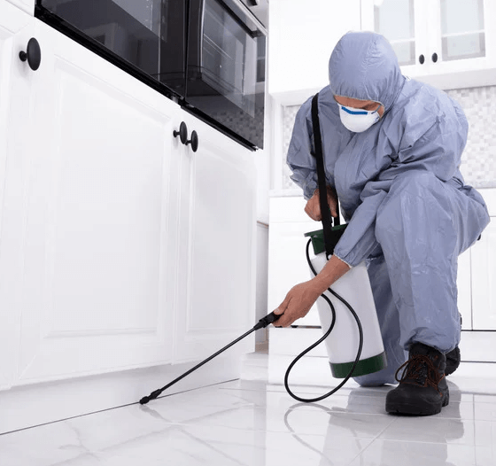 The Peace of Mind You Get from Reliable Pest Control