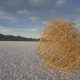 Tumbleweed GIF: The Symbol of Awkward Silences and Deserted Spaces