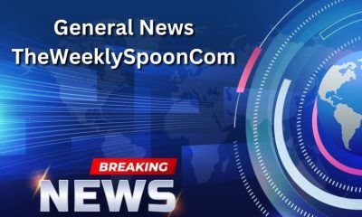 The Weekly Spoon: Your Source for General News with a Fresh Perspective