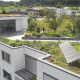 Eco-Friendly Roofing: Sustainable Practices for a Greener Future