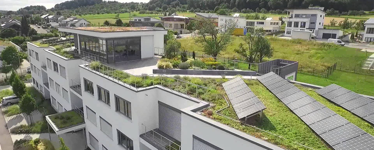 Eco-Friendly Roofing: Sustainable Practices for a Greener Future