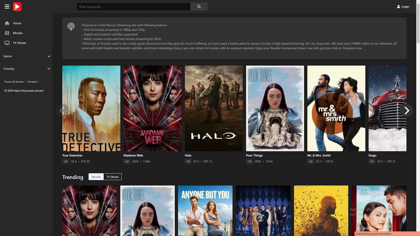 TinyZone: The Ultimate Streaming Haven for Movie and TV Enthusiasts