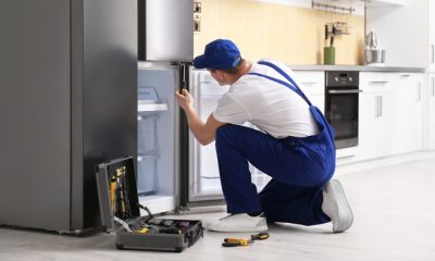 Keeping Your Cool: The Art of Efficient Refrigerator Maintenance