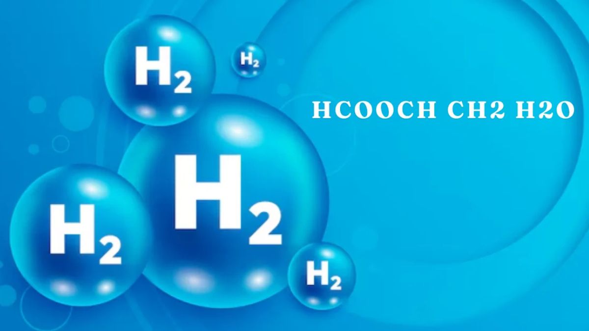 Understanding HCOOCH₃ + H₂O: The Chemistry of Methyl Formate Hydrolysis