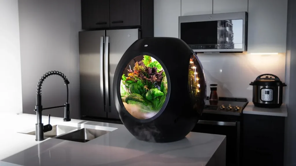 Top 10 Eco-Smart Home Gadgets in 2025