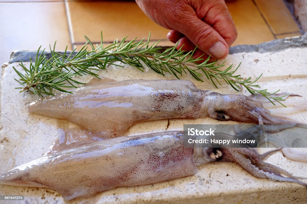 The Calamariere: An Ancient and Enduring Symbol of Sicilian Maritime Heritage